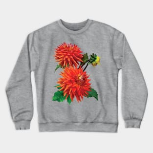 Dahlia Hot Shot Crewneck Sweatshirt